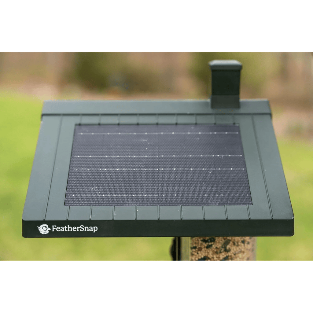 FeatherSnap Scout WiFi Solar Powered Smart Bird Feeder - Green - Lenny's Shoe & Apparel