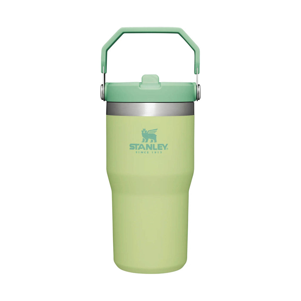 Stanley The IceFlow Flip Straw Tumbler 20 oz - Citron - Lenny's Shoe & Apparel