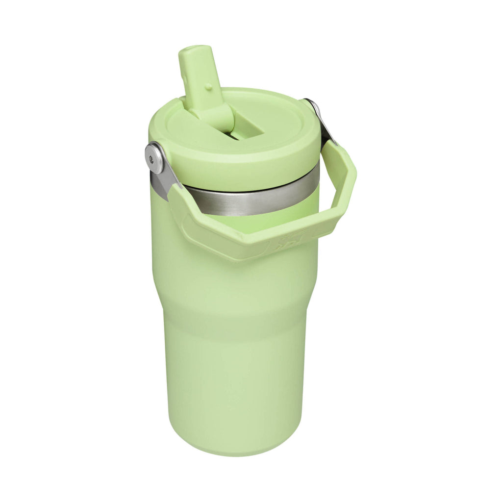 Stanley The Wild Imagination IceFlow Flip Straw Tumbler 20 oz - Citron Cub - Lenny's Shoe & Apparel